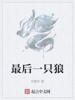 最后一只狼黄政民