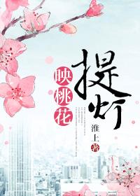 提灯映桃花29补车图片