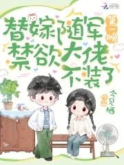 替嫁将军免费阅读