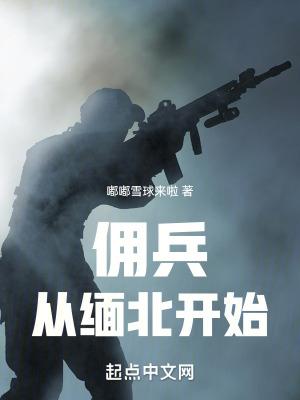 我在缅北当佣兵阅读