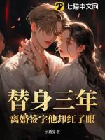 替身离婚后by