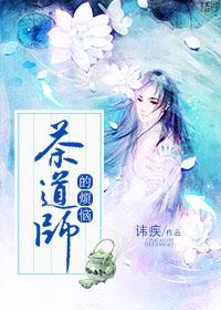 茶道师的烦恼四五中文网