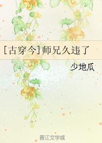 古言师兄师弟