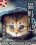 猫季的旅行日记