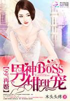 99°再婚：男神BOSS甜甜宠